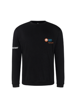 RX301 - Pro RTX Pro Sweatshirt