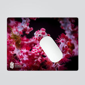 Marine Biological Association Mouse Mat (Three designs to select from)