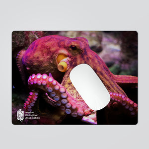 Marine Biological Association Mouse Mat (Three designs to select from)