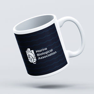 Marine Biological Association Mugs