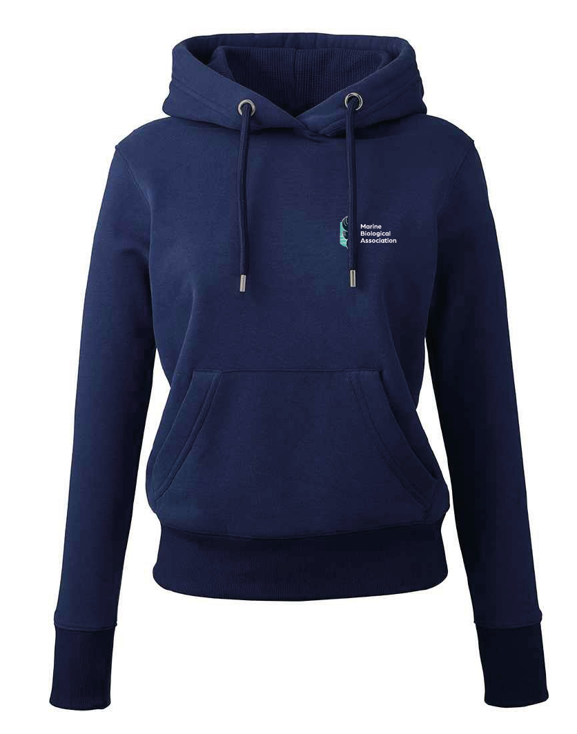 AM03 Anthem Women's Organic Hoodie