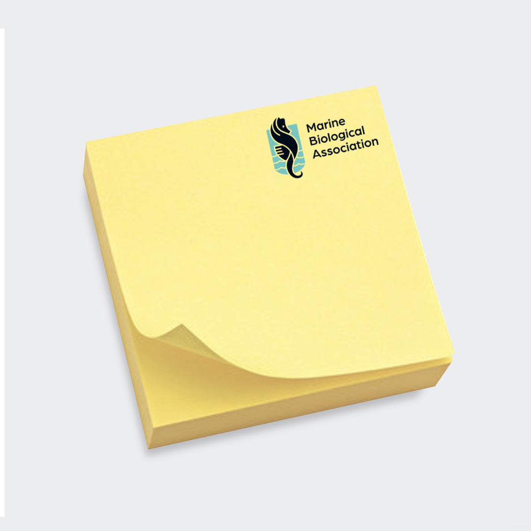 Recycled Sticky Notes (Minimum order 250)